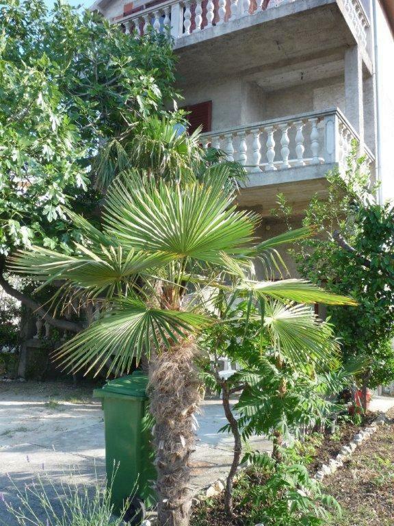 Apartments Ane Sukosan Exterior photo